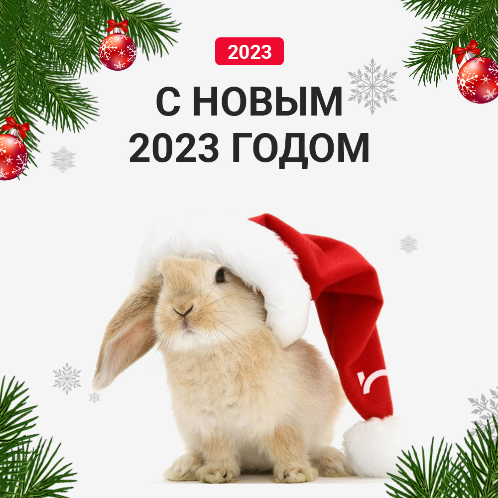 Новый ватсап 2023